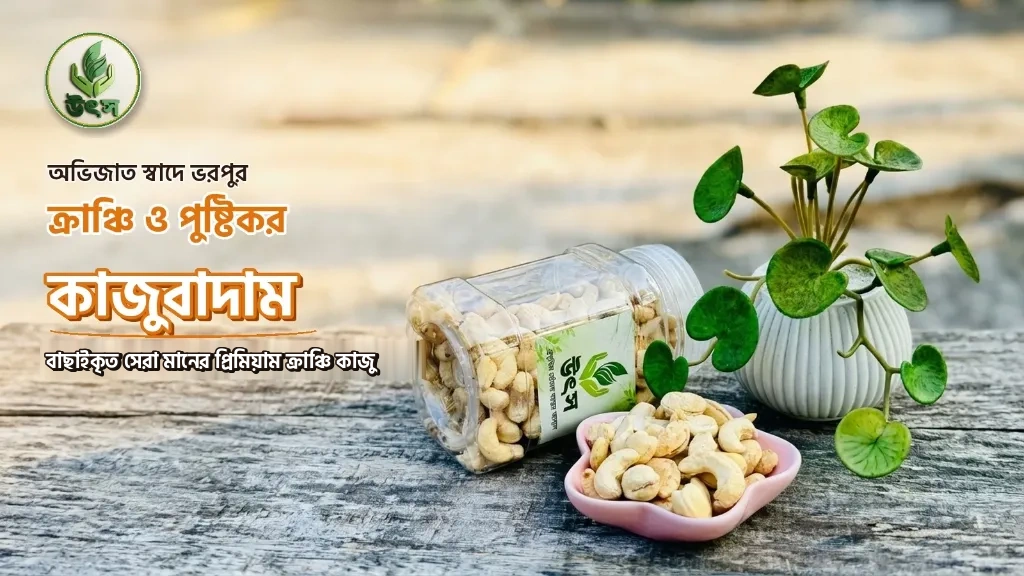 উৎস (Utsoo) — 05 cashew nuts banner